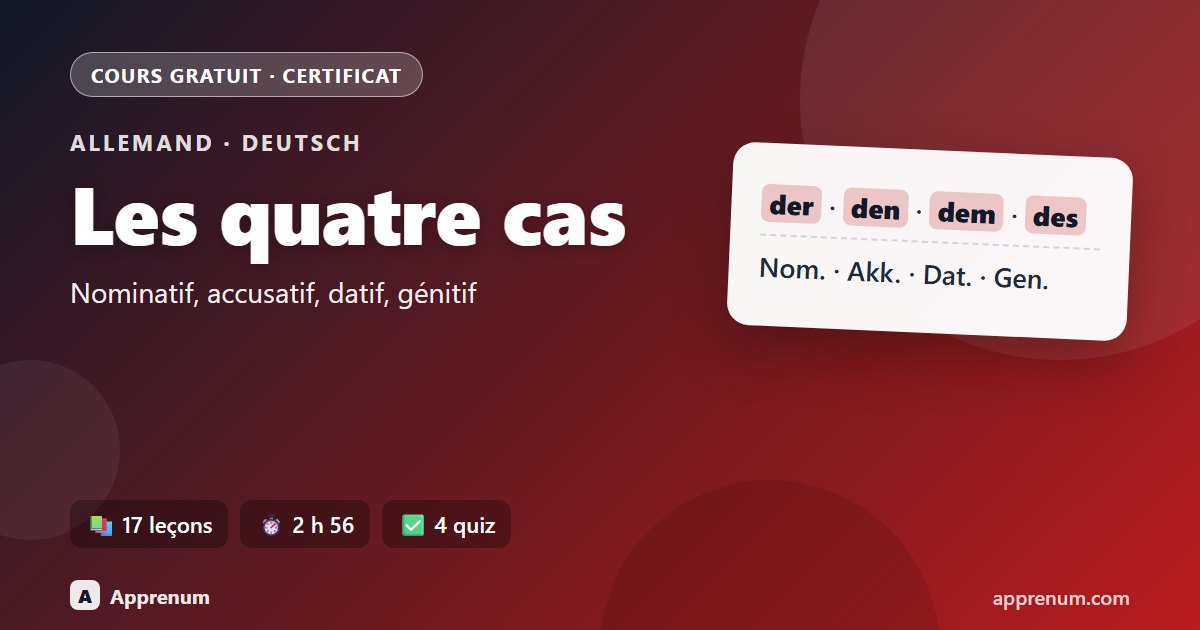 Allemand : les quatre cas et la déclinaison (articles, pronoms, adjectifs)