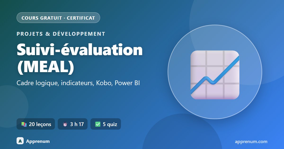 Suivi-évaluation (MEAL) de projets : cadre logique, indicateurs, Kobo, Excel et Power BI