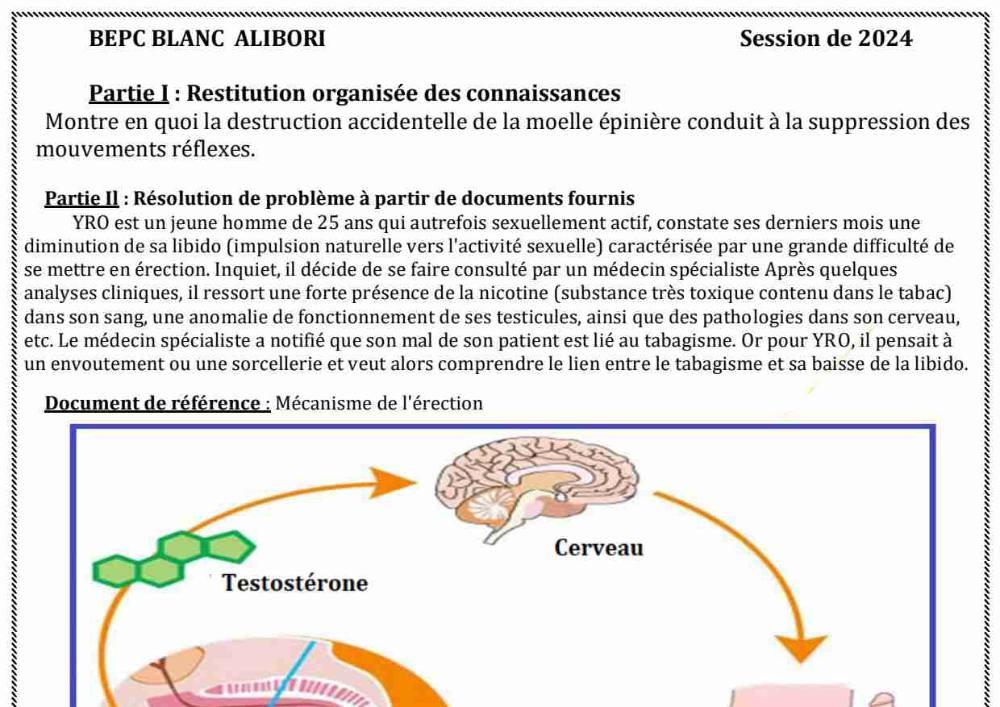 Aperçu de la première page — SVT Compilation BEPC Blanc 10 départements 2024
