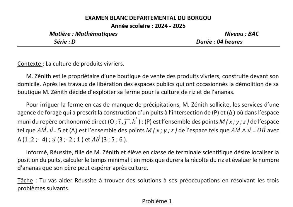 Aperçu de la première page — BAC BLANC BORGOU Mathématiques Série D 2025 (2)