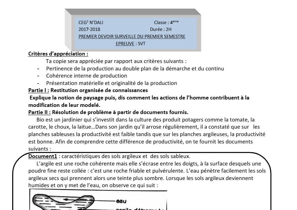 Aperçu de la première page — 4e SVT Devoir 1 Semestre 1 CEG N'Dali 2017 2018