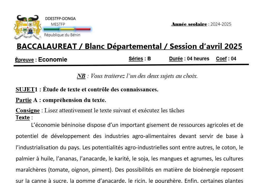 Aperçu de la première page — DONGA BAC BLANC 25 ECONOMIE B