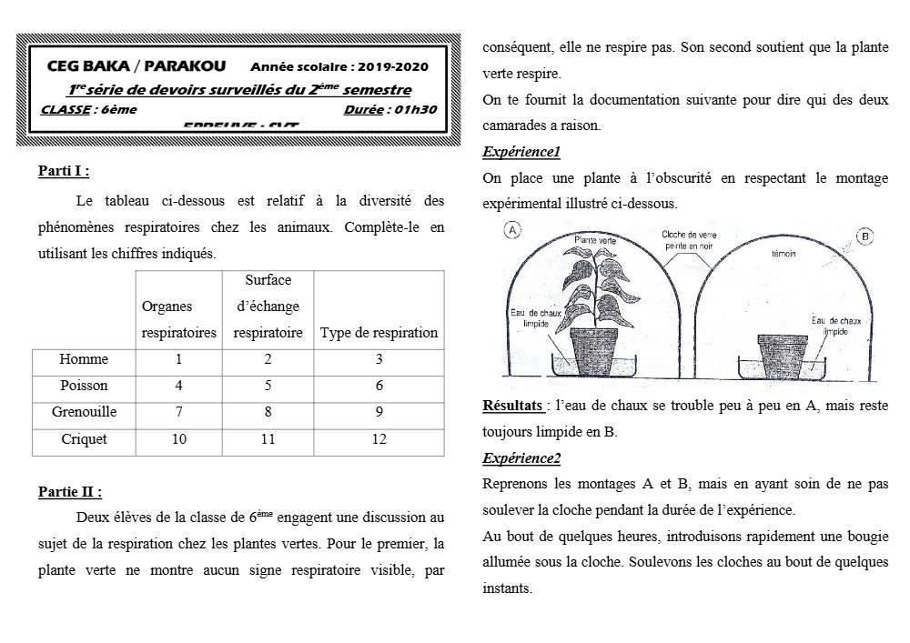 Aperçu de la première page — SVT 6e 1er Devoir 2ème Semestre CEG Baka 2019 2020