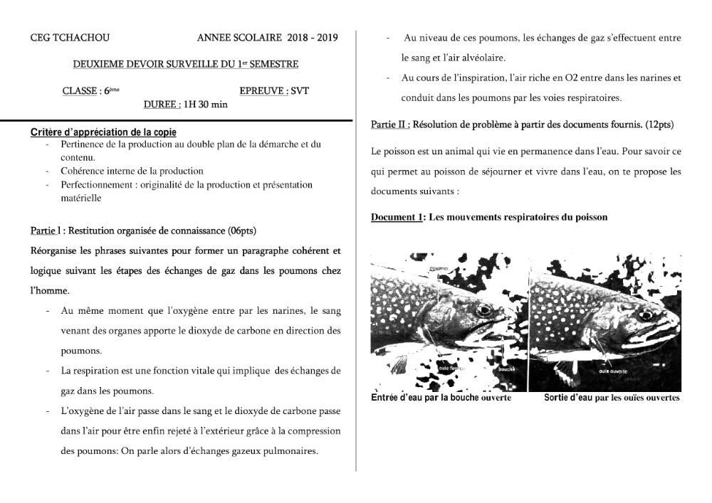 Aperçu de la première page — SVT 6e 1er Devoir 2ème Semestre CEG Tchatcou 2018 2019